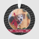 Search for cute dog ornaments Zpet