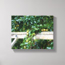 Search for pear canvas prints Nature
