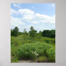 Search for meadows posters Country