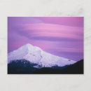 Search for deep purple postcards Pink