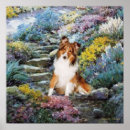 Recherche de sheltie posters Mignon