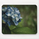 Search for blue hydrangeas mousepads Summer