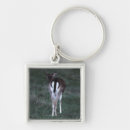 Search for rearing keychains Animal
