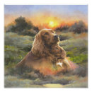 Search for irish setter posters Puppy