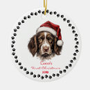 Search for springer spaniel ornaments Puppy