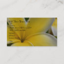 Recherche de frangipani cartes visite Jaune