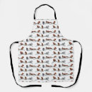 Search for gray squirrel aprons Rodent