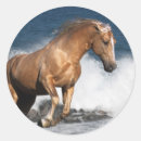 Search for palomino horse stickers Fantasy