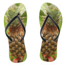 Search for tropical fruit photography Nature