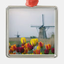 Search for dutch windmill ornaments Kinderdijk