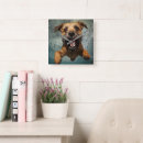Search for swimming underwater clocks Animal lover