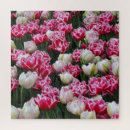 Search for tulip puzzles Blossoms