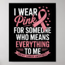 Search for cancer awareness ribbons posters I wear pink