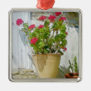 Search for geranium ornaments Nature
