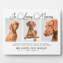 Search for dates pet supplies In loving memory