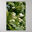 Recherche de amour éternel posters Floral
