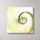 Search for beach shells canvas prints Ocean