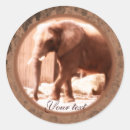 Recherche de elephants autocollants Zoo