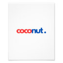 Recherche de noix de coco Typographie