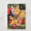 Search for merry meow christmas cards Cute