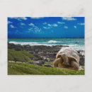 Search for the edge postcards Beach