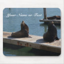 Search for lion mousepads Sea lions