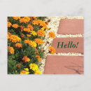 Recherche de fleurs oranges cartes postales Rouge