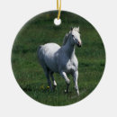 Search for thoroughbred ornaments Grass