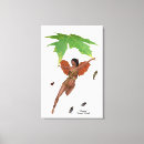 Search for fairy canvas prints Faeries