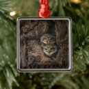 Search for owl ornaments Woods