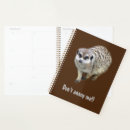 Search for grumpy office supplies Humour