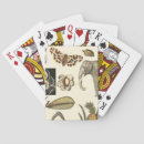 Recherche de insectes jeux de cartes Crème