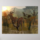 Search for impala posters River