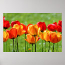 Search for spring birthday art Photography