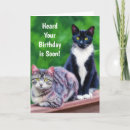 Search for cat puns cards Kitten