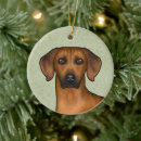 Search for lion head ornaments Cute