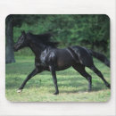 Search for thoroughbreds mousepads Running