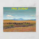 Search for jura postcards Scotland