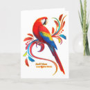 Search for macaws cards Scarlet macaw