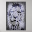 Search for lion picture posters Wildlife