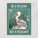 Recherche de pélicans Amusant