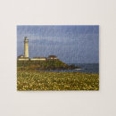 Search for pigeon puzzles Coast