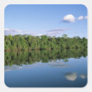 Search for amazons stickers Jungle