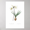 Recherche de belladonna posters Vintage