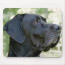 Search for friend of black mousepads Animal