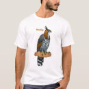 Search for hawk tshirts America
