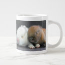 Recherche de pays bas tasses Animaux domestiques
