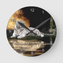 Recherche de gros chat horloges Tigres