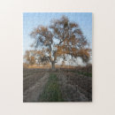 Recherche de vignoble puzzles Pays de vin
