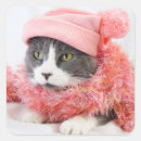 Search for square glossy stickers Kitten